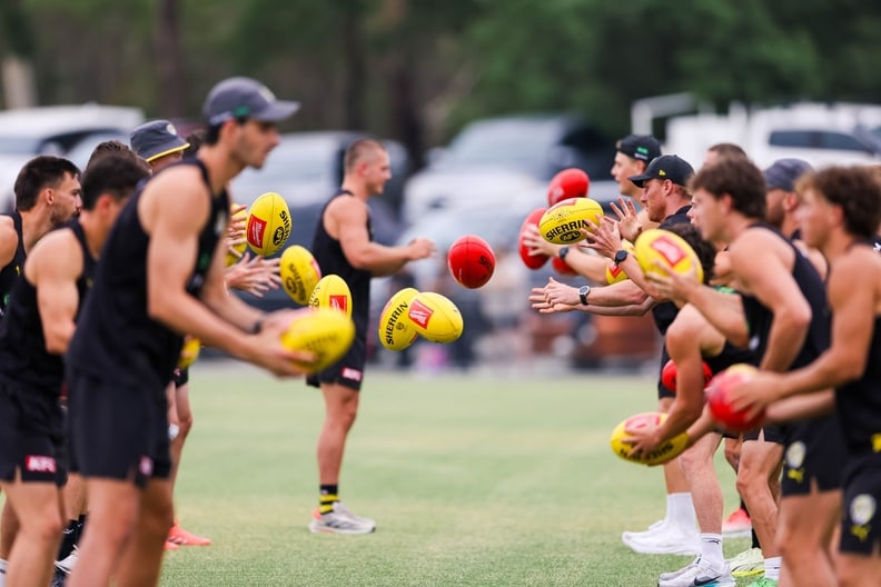 Tigerland in Cardinia, January 31