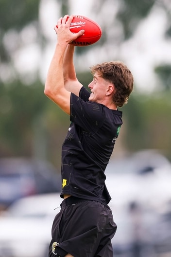 Luke Trainor - Tigerland in Cardinia, January 31