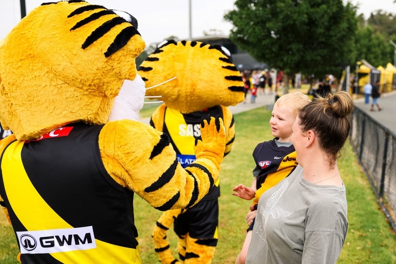 Sash & Stripes - Tigerland in Cardinia, January 31-3