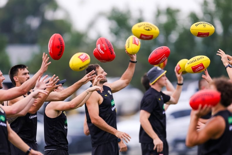 Tigerland in Cardinia, January 31-2