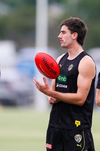 Jonty Faull - Tigerland in Cardinia, January 31