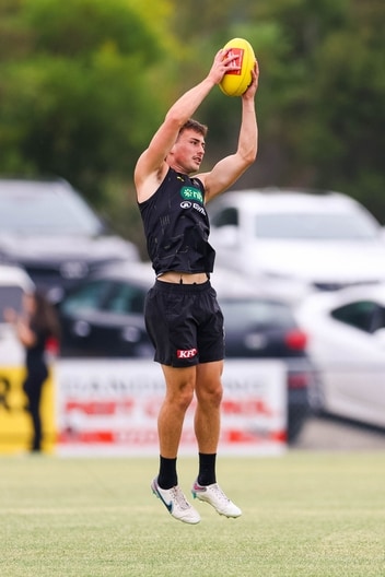 Steely Green - Tigerland in Cardinia, January 31