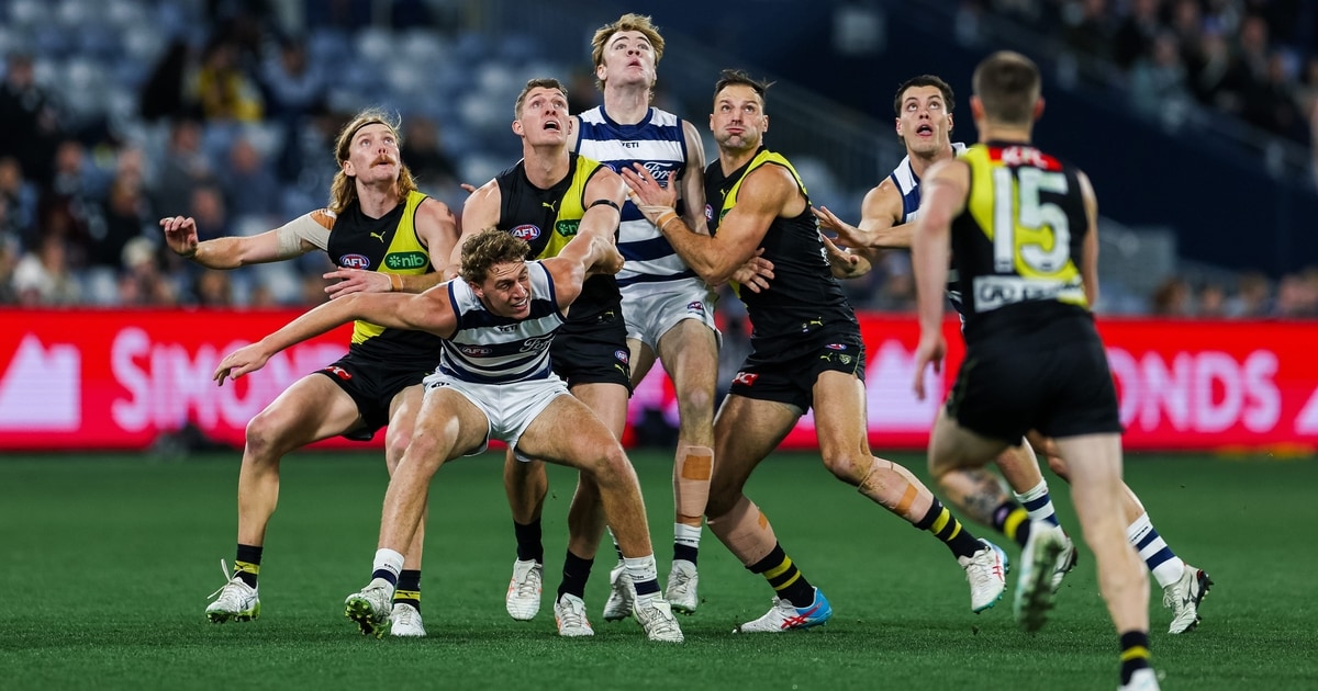 Cats control Tigers in 2026 finale